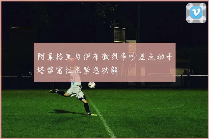 阿莱格里与伊布激烈争吵差点动手塔雷富拉尼紧急劝解